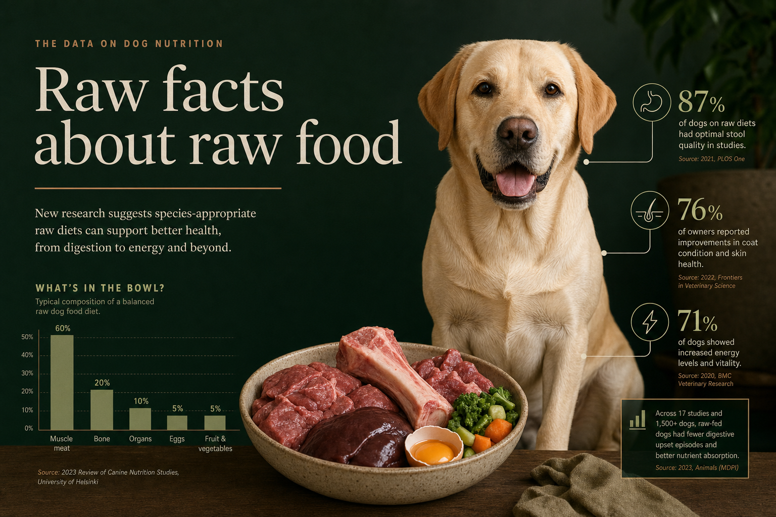 Raw dog food statistics UK data report 2026 — infographic with dog and data visualisation